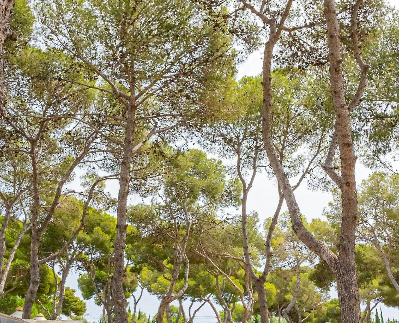 Camping Relax Sol Torredembarra