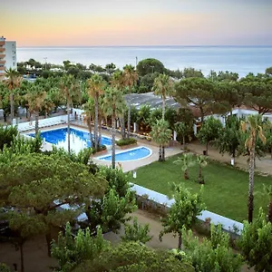 Bellsol Camping